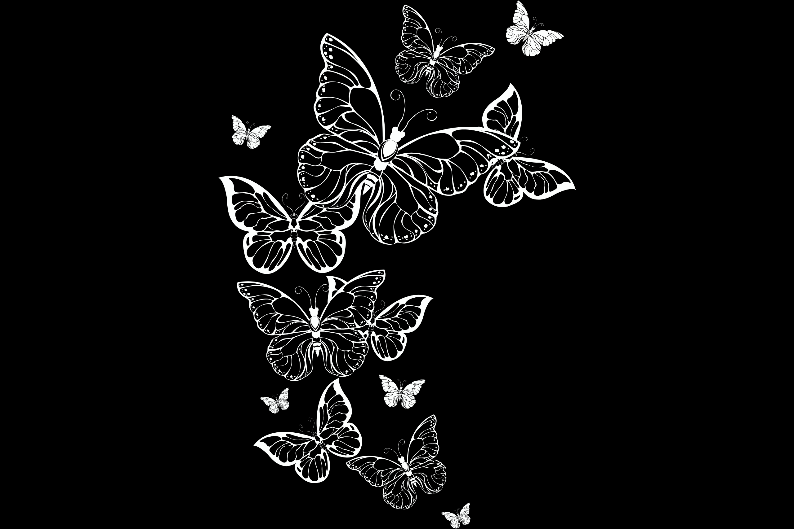 Midlife Awakening: Turning the Messy Middle into a Beautiful Chrysalis