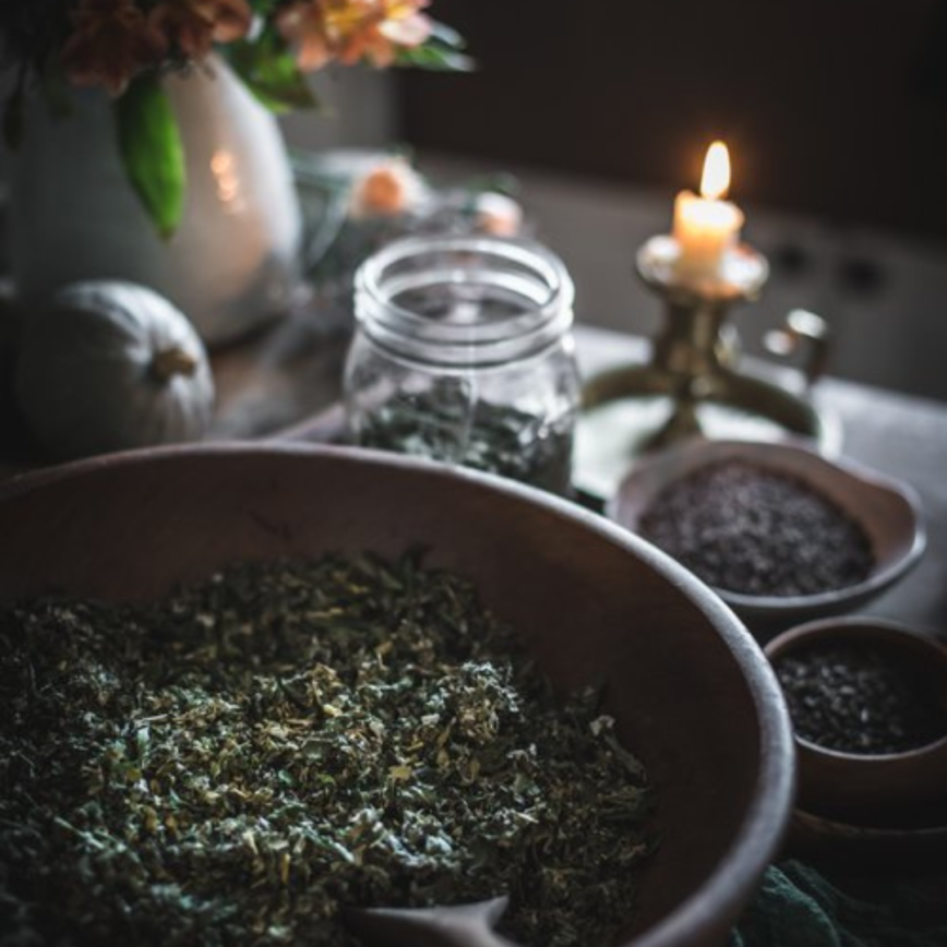 Nourish + Rewild